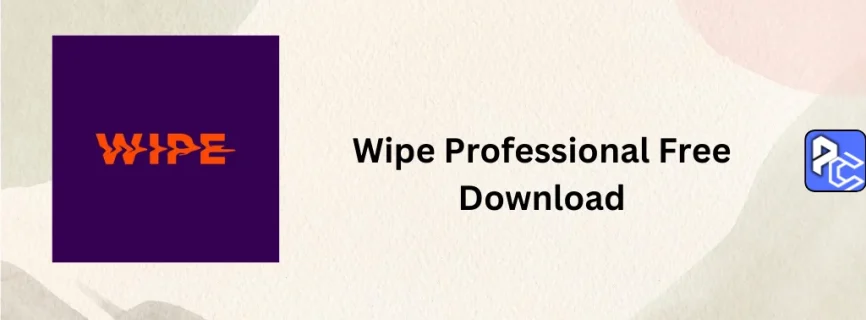 Wipe Professional Free Download 2024.14