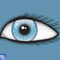 Sante DICOM Editor Free Download